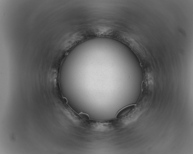 X0000112050664200908111351