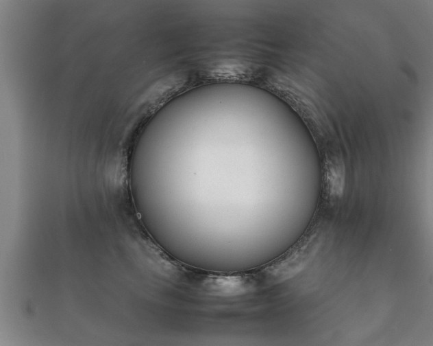 X0000112050665200908111351