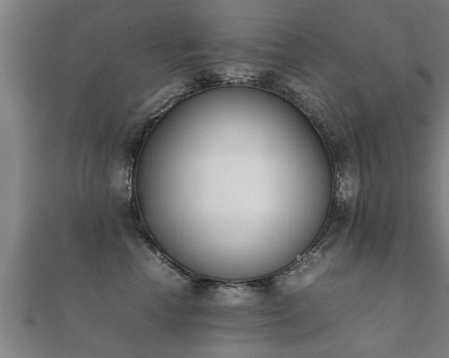 X0000112050666200908111351