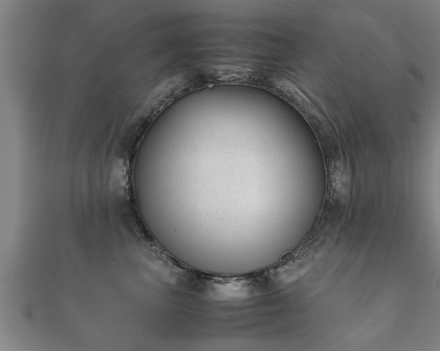 X0000112050667200908111351