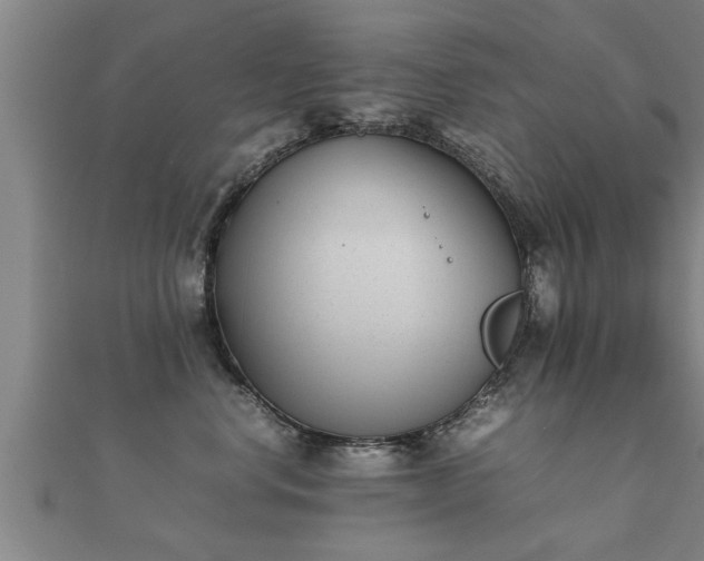 X0000112050668200908111351