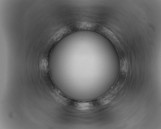 X0000112050669200908111351