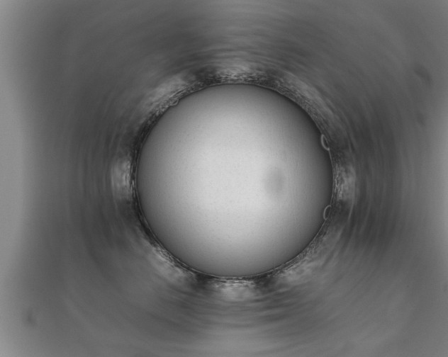 X0000112050670200908111351