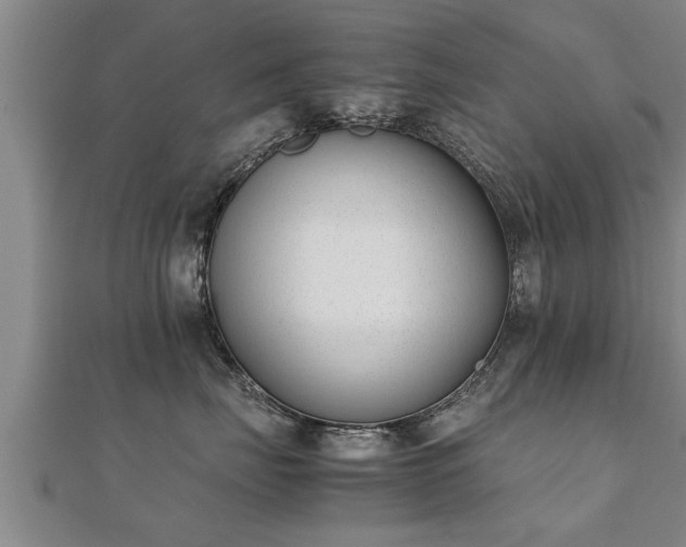 X0000112050671200908111351