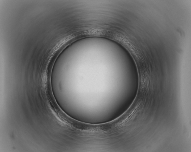 X0000112050674200908111351