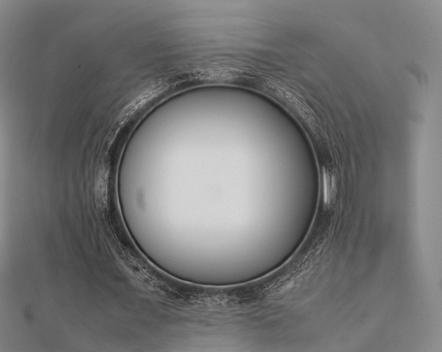 X0000112050675200908111351