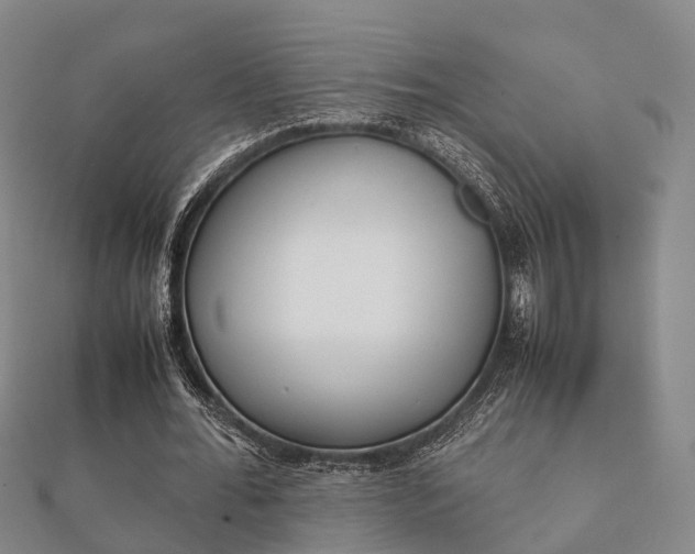 X0000112050676200908111351