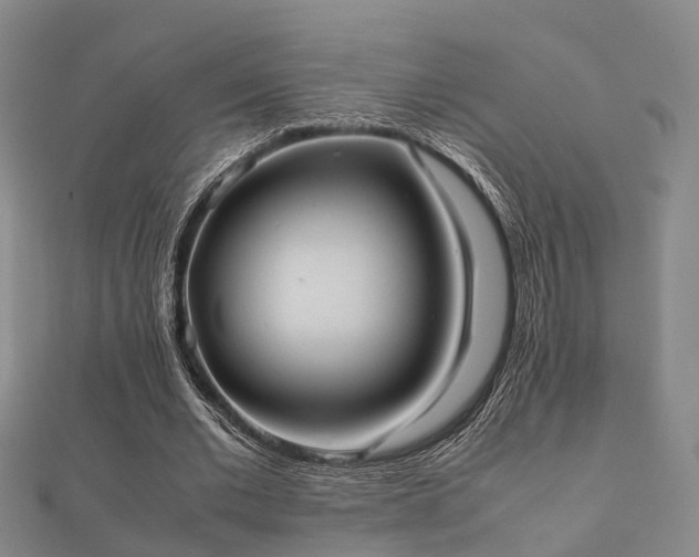 X0000112050677200908111351