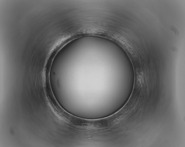 X0000112050678200908111351