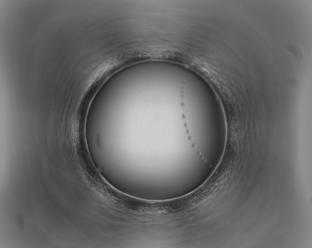 X0000112050679200908111350