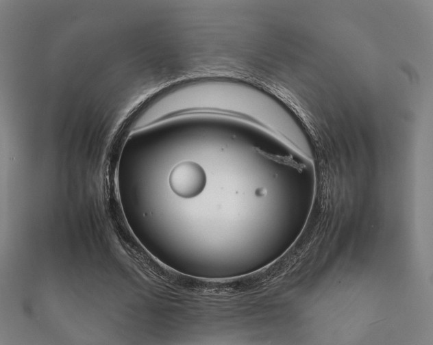 X0000112050680200908111350