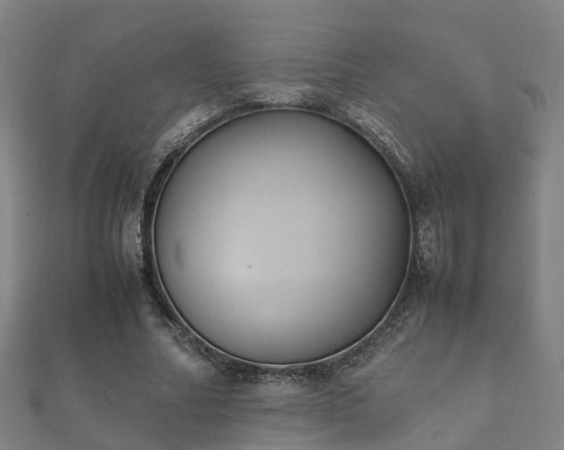 X0000112050682200908111350