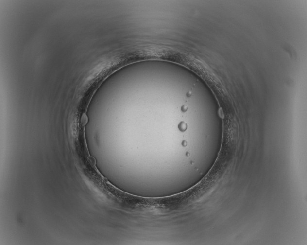 X0000112050683200908111350