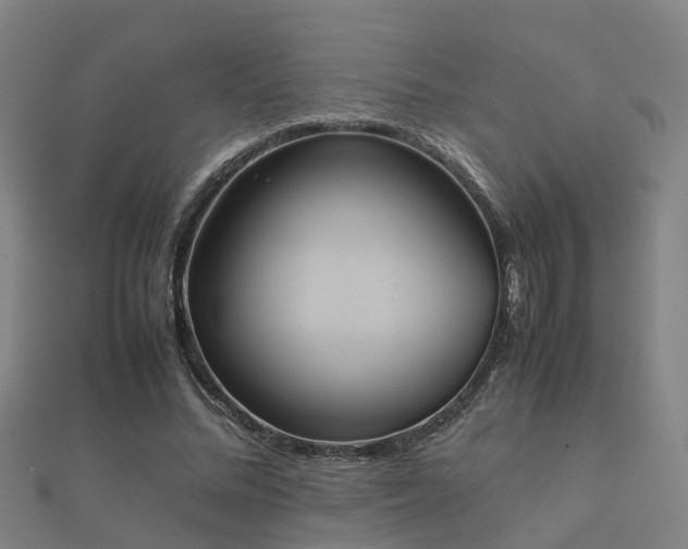 X0000112050684200908111350