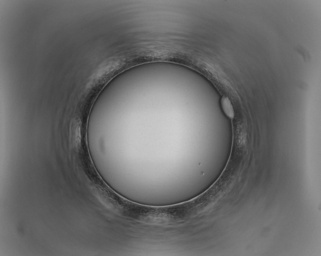 X0000112050685200908111350