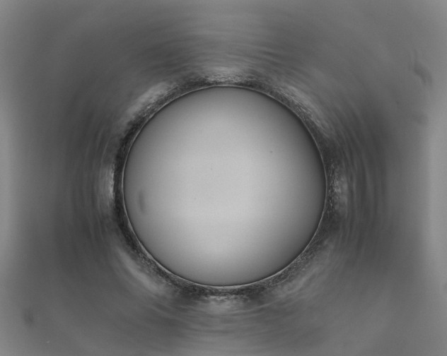 X0000112050686200908111350