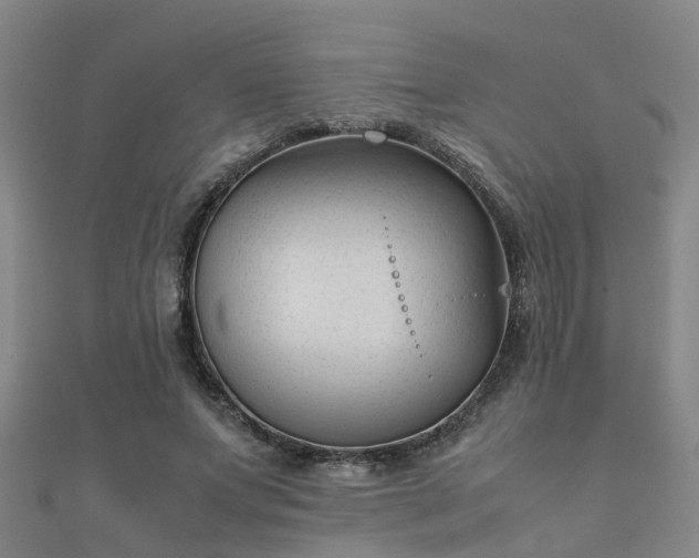 X0000112050687200908111350