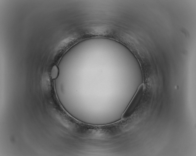 X0000112050688200908111350