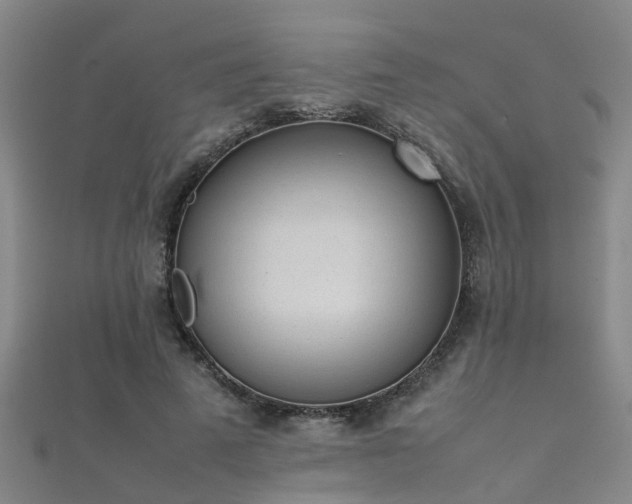 X0000112050689200908111350