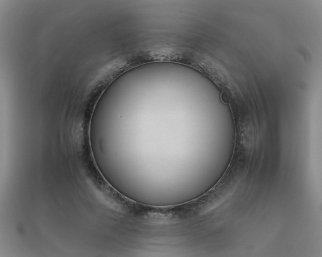 X0000112050690200908111350