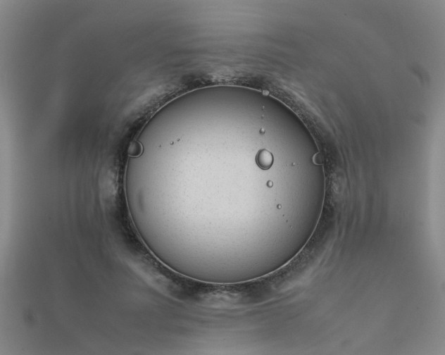 X0000112050691200908111350