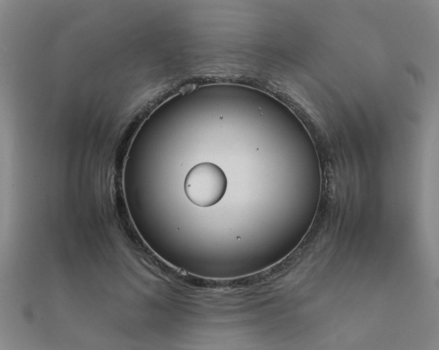 X0000112050692200908111350