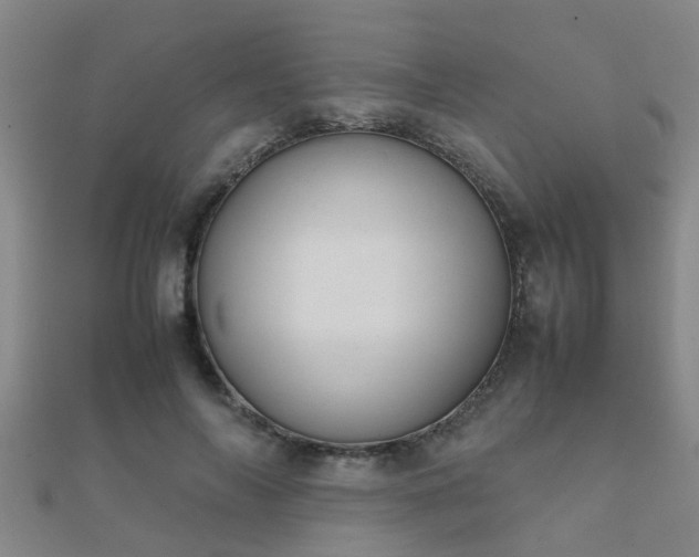 X0000112050694200908111350