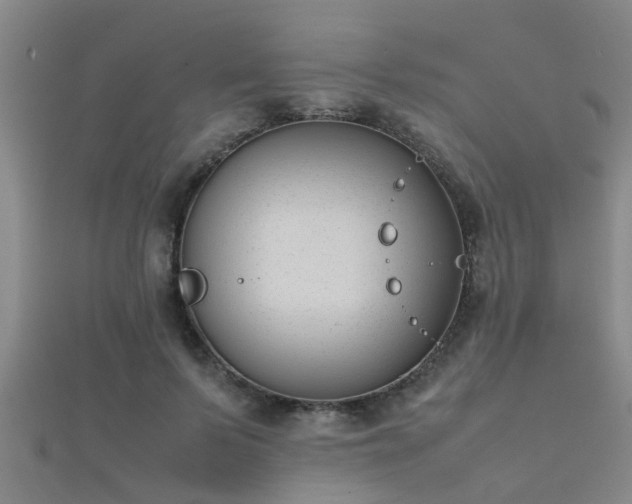 X0000112050695200908111350