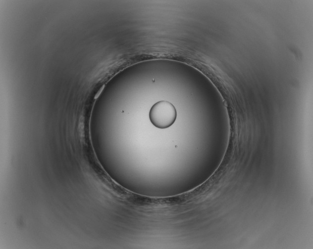 X0000112050696200908111350