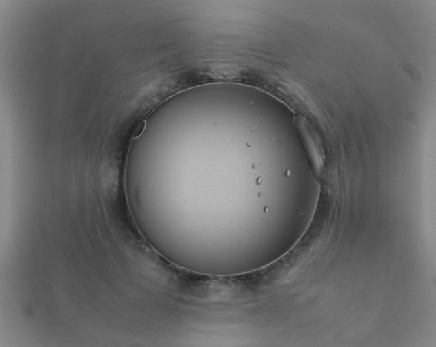 X0000112050697200908111350