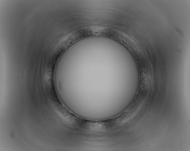 X0000112050698200908111350