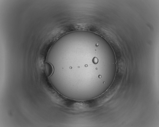 X0000112050699200908111350