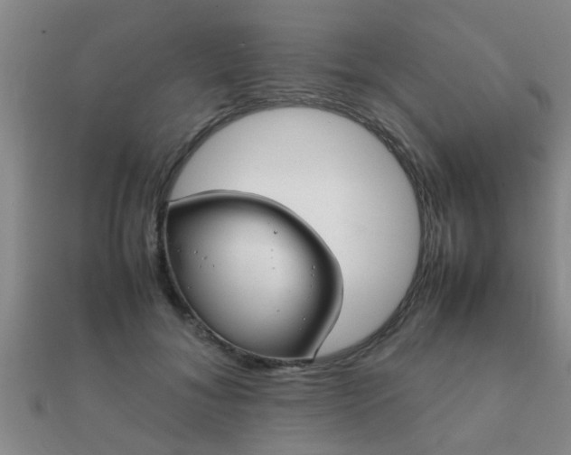 X0000112050700200908111350