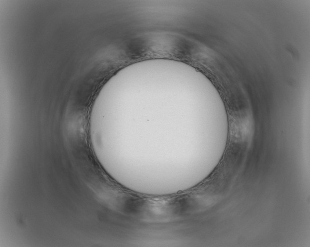 X0000112050701200908111350