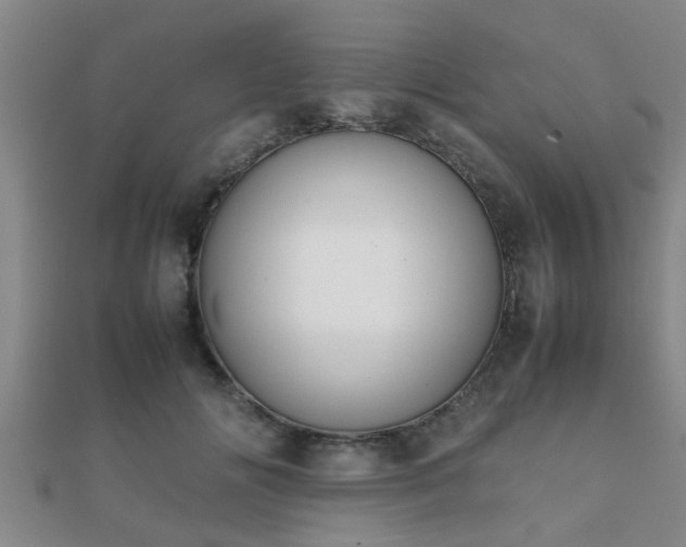 X0000112050702200908111350