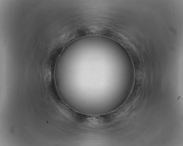 X0000112050703200908111350