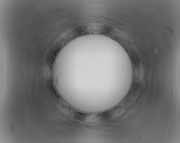 X0000112050705200908111350