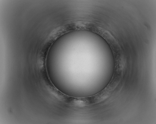 X0000112050706200908111350