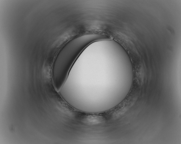 X0000112050708200908111350