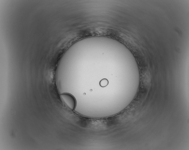 X0000112050709200908111350