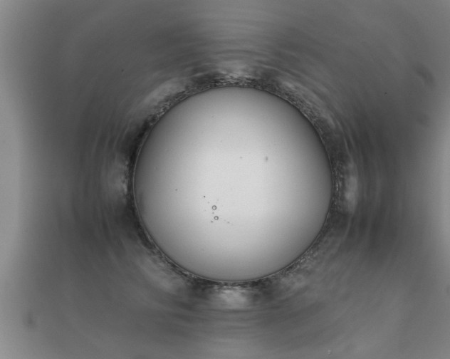 X0000112050710200908111350