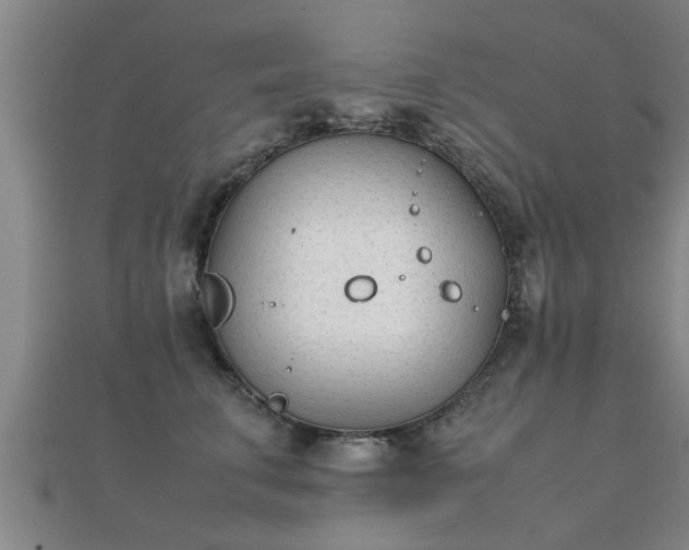 X0000112050711200908111350