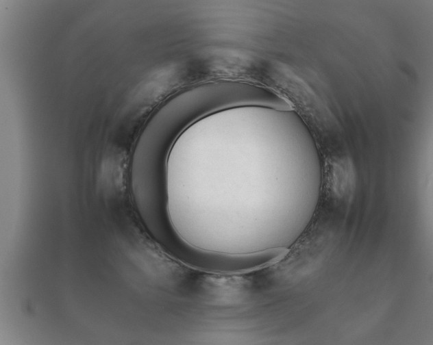 X0000112050712200908111350