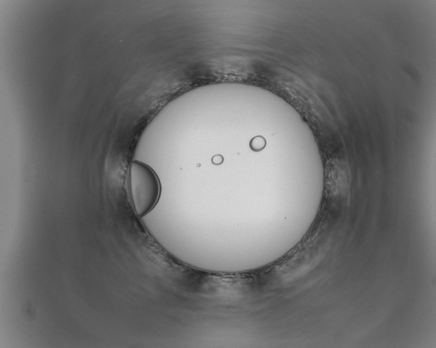 X0000112050713200908111350