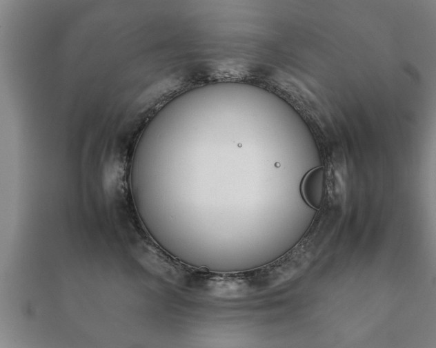 X0000112050714200908111350