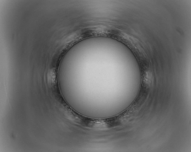 X0000112050715200908111350