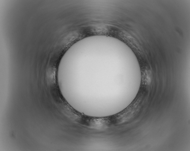 X0000112050717200908111350