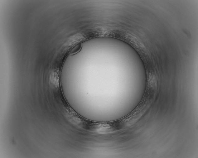 X0000112050719200908111350