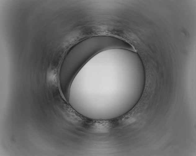 X0000112050720200908111350