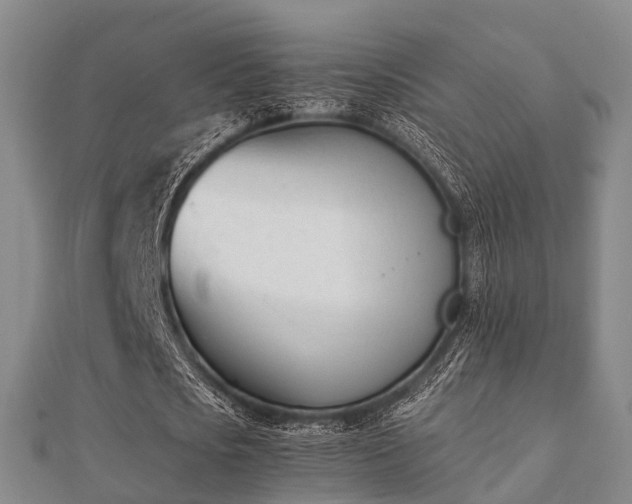 X0000112050721200908111349